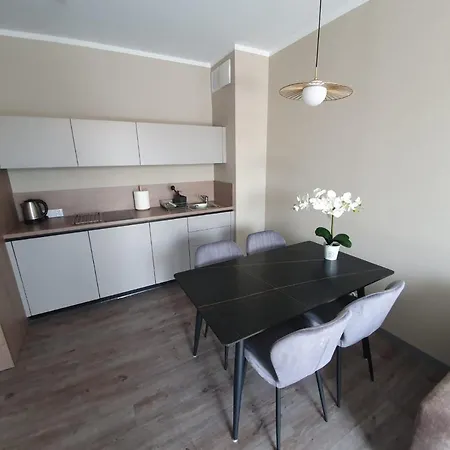 Z Aquaparkiem Belmare 519 公寓 米兹多洛杰